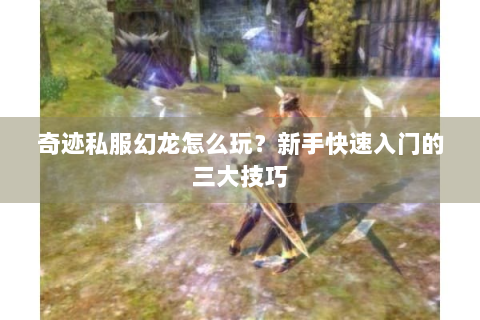 奇迹私服幻龙怎么玩？新手快速入门的三大技巧