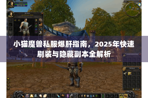 小猫魔兽私服爆肝指南，2025年快速刷装与隐藏副本全解析