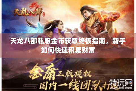 天龙八部私服金币获取终极指南，新手如何快速积累财富