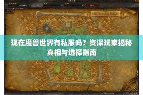 现在魔兽世界有私服吗？资深玩家揭秘真相与选择指南