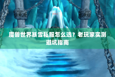 魔兽世界暴雪私服怎么选？老玩家实测避坑指南