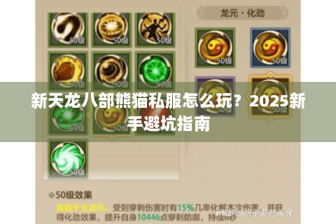 新天龙八部熊猫私服怎么玩？2025新手避坑指南