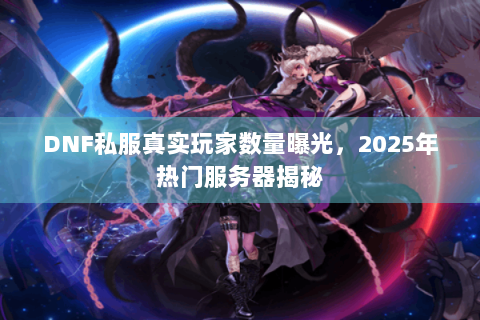 DNF私服真实玩家数量曝光，2025年热门服务器揭秘