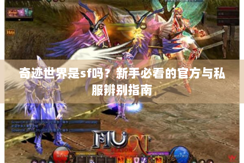 奇迹世界是sf吗？新手必看的官方与私服辨别指南