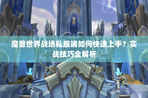 魔兽世界战场私服端如何快速上手？实战技巧全解析