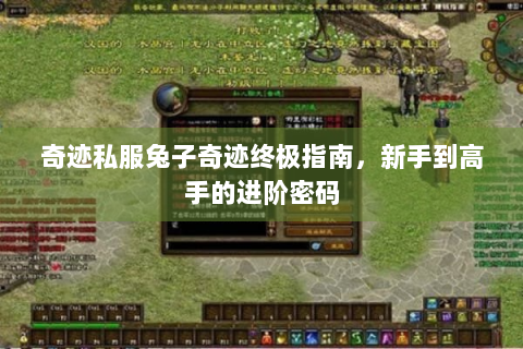奇迹私服兔子奇迹终极指南，新手到高手的进阶密码