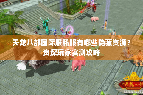 天龙八部国际服私服有哪些隐藏资源？资深玩家实测攻略