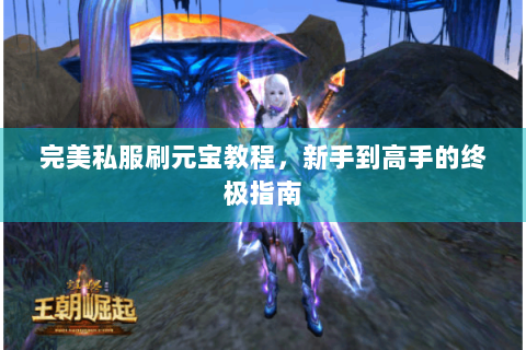 完美私服刷元宝教程，新手到高手的终极指南