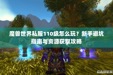 魔兽世界私服110级怎么玩？新手避坑指南与资源获取攻略