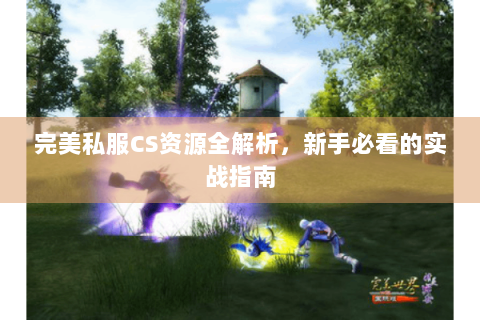 完美私服CS资源全解析，新手必看的实战指南