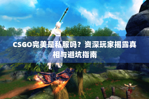 CSGO完美是私服吗？资深玩家揭露真相与避坑指南
