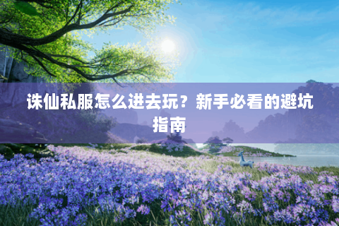 诛仙私服怎么进去玩？新手必看的避坑指南