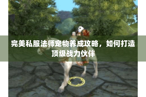完美私服法师宠物养成攻略，如何打造顶级战力伙伴