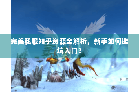 完美私服知乎资源全解析，新手如何避坑入门？