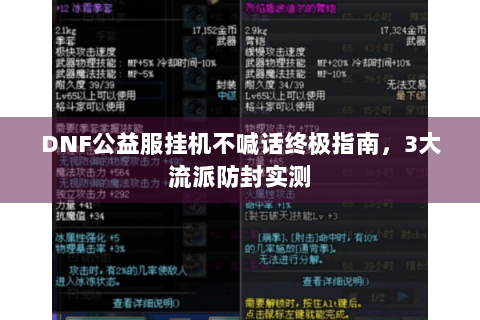 DNF公益服挂机不喊话终极指南，3大流派防封实测