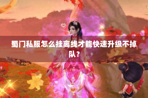 蜀门私服怎么挂离线才能快速升级不掉队？