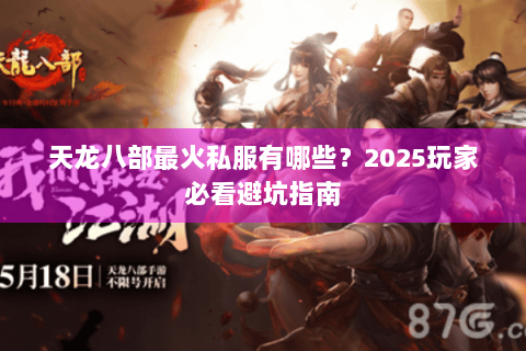 天龙八部最火私服有哪些？2025玩家必看避坑指南