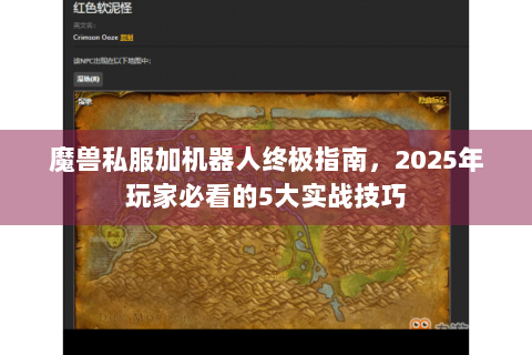 魔兽私服加机器人终极指南，2025年玩家必看的5大实战技巧