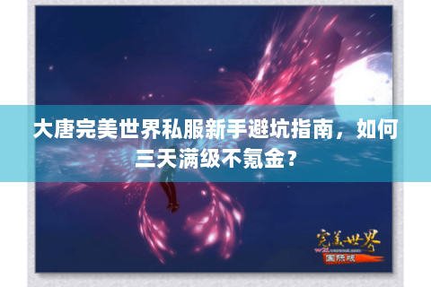 大唐完美世界私服新手避坑指南，如何三天满级不氪金？
