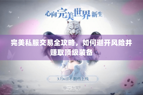 完美私服交易全攻略，如何避开风险并赚取顶级装备