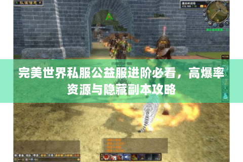 完美世界私服公益服进阶必看，高爆率资源与隐藏副本攻略