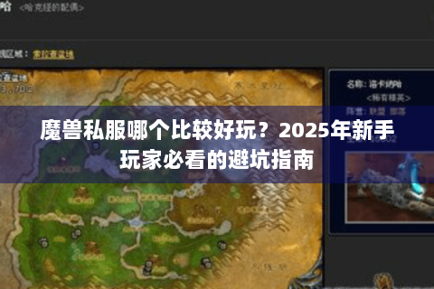 魔兽私服哪个比较好玩？2025年新手玩家必看的避坑指南