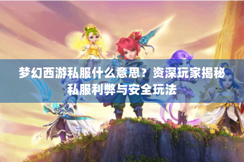 梦幻西游私服什么意思？资深玩家揭秘私服利弊与安全玩法
