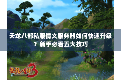 天龙八部私服情义服务器如何快速升级？新手必看五大技巧