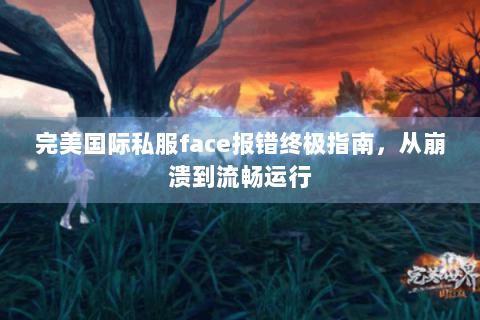 完美国际私服face报错终极指南，从崩溃到流畅运行