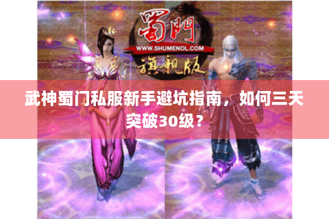 武神蜀门私服新手避坑指南，如何三天突破30级？