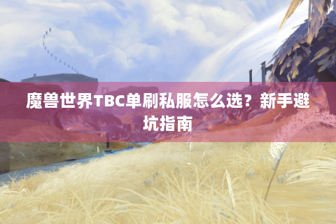 魔兽世界TBC单刷私服怎么选？新手避坑指南