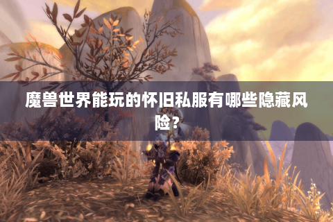 魔兽世界能玩的怀旧私服有哪些隐藏风险？