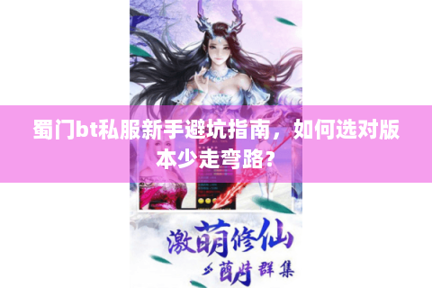 蜀门bt私服新手避坑指南，如何选对版本少走弯路？