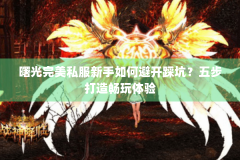 曙光完美私服新手如何避开踩坑？五步打造畅玩体验