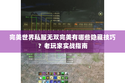 完美世界私服无双完美有哪些隐藏技巧？老玩家实战指南