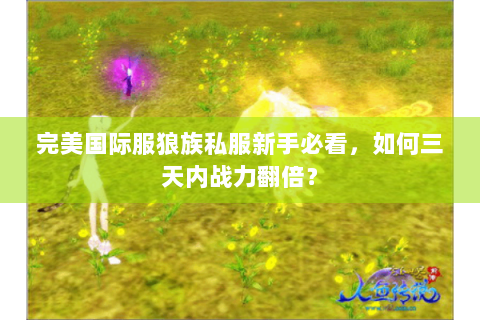 完美国际服狼族私服新手必看，如何三天内战力翻倍？