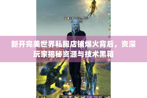 新开完美世界私服店铺爆火背后，资深玩家揭秘资源与技术黑箱