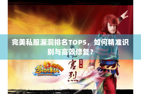 完美私服漏洞排名TOP5，如何精准识别与高效修复？
