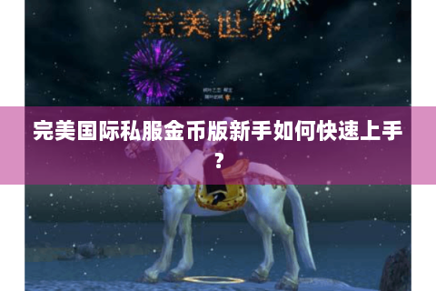 完美国际私服金币版新手如何快速上手？
