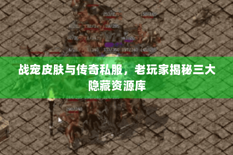战宠皮肤与传奇私服，老玩家揭秘三大隐藏资源库
