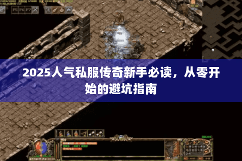 2025人气私服传奇新手必读，从零开始的避坑指南