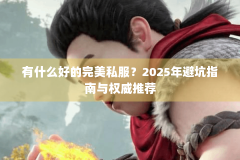 有什么好的完美私服？2025年避坑指南与权威推荐