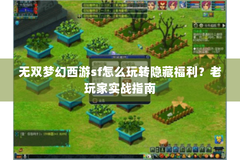 无双梦幻西游sf怎么玩转隐藏福利？老玩家实战指南