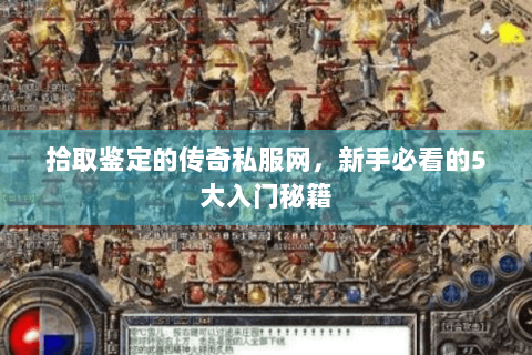 拾取鉴定的传奇私服网，新手必看的5大入门秘籍