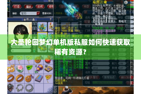 大圣轮回梦幻单机版私服如何快速获取稀有资源？