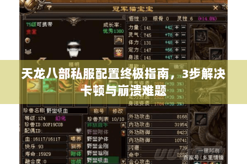 天龙八部私服配置终极指南，3步解决卡顿与崩溃难题