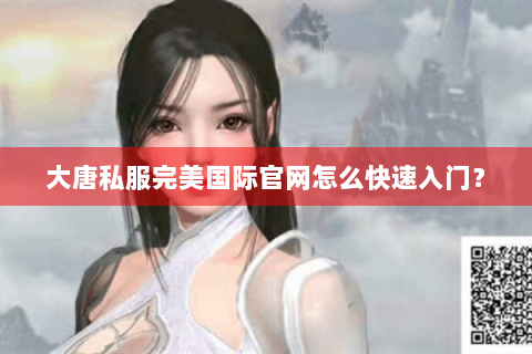 大唐私服完美国际官网怎么快速入门？