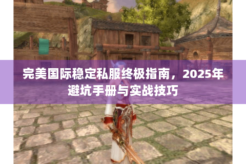完美国际稳定私服终极指南，2025年避坑手册与实战技巧