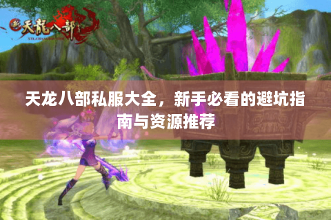 天龙八部私服大全，新手必看的避坑指南与资源推荐