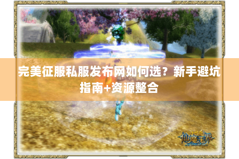 完美征服私服发布网如何选？新手避坑指南+资源整合